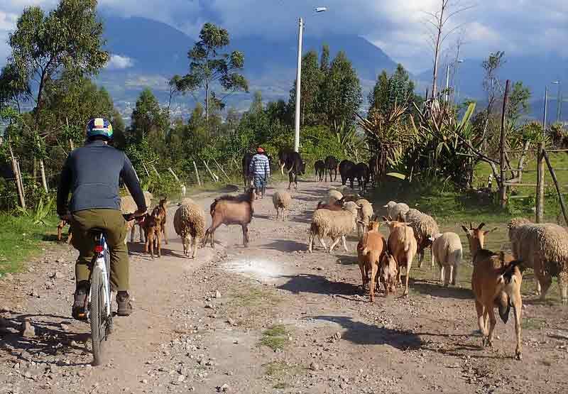 Award-Winning Ecuador Adventure Tour - BikeHike